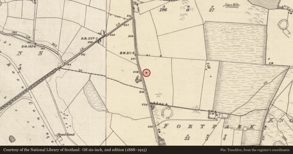 Ordnance Survey six-inch map, 2nd edition (1888–1915) covering the location of Quarry, Tinkershill, County Galway, with a pin at the register's coordinates