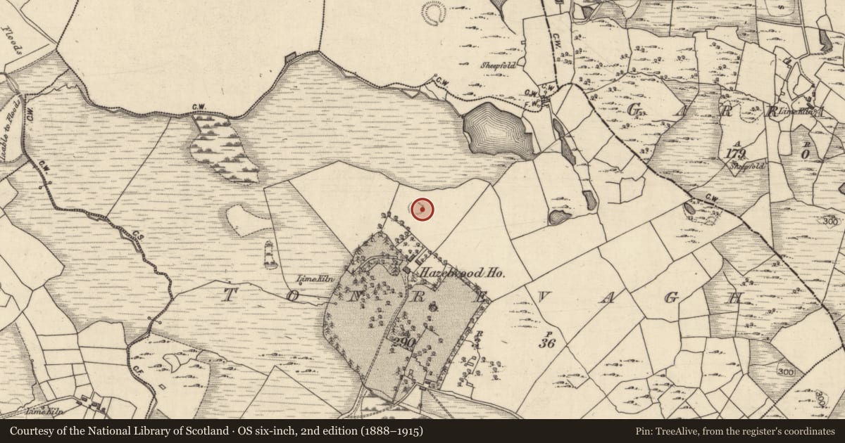 Ordnance Survey six-inch map, 2nd edition (1888–1915) covering the location of Ringfort - rath, Tonrevagh, County Galway, with a pin at the register's coordinates