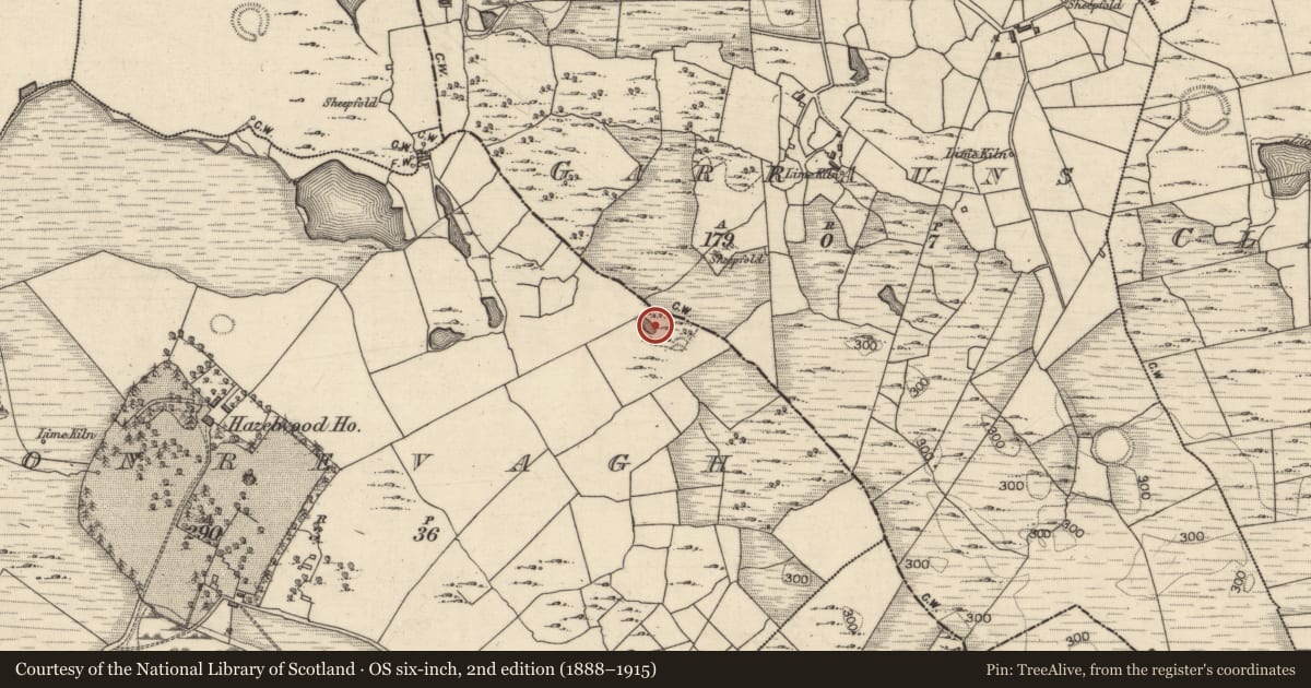 Ordnance Survey six-inch map, 2nd edition (1888–1915) covering the location of Ringfort - rath, Tonrevagh, County Galway, with a pin at the register's coordinates