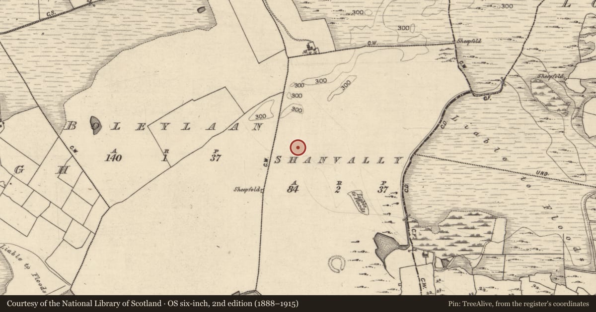 Ordnance Survey six-inch map, 2nd edition (1888–1915) covering the location of Burial, Shanvally, County Galway, with a pin at the register's coordinates