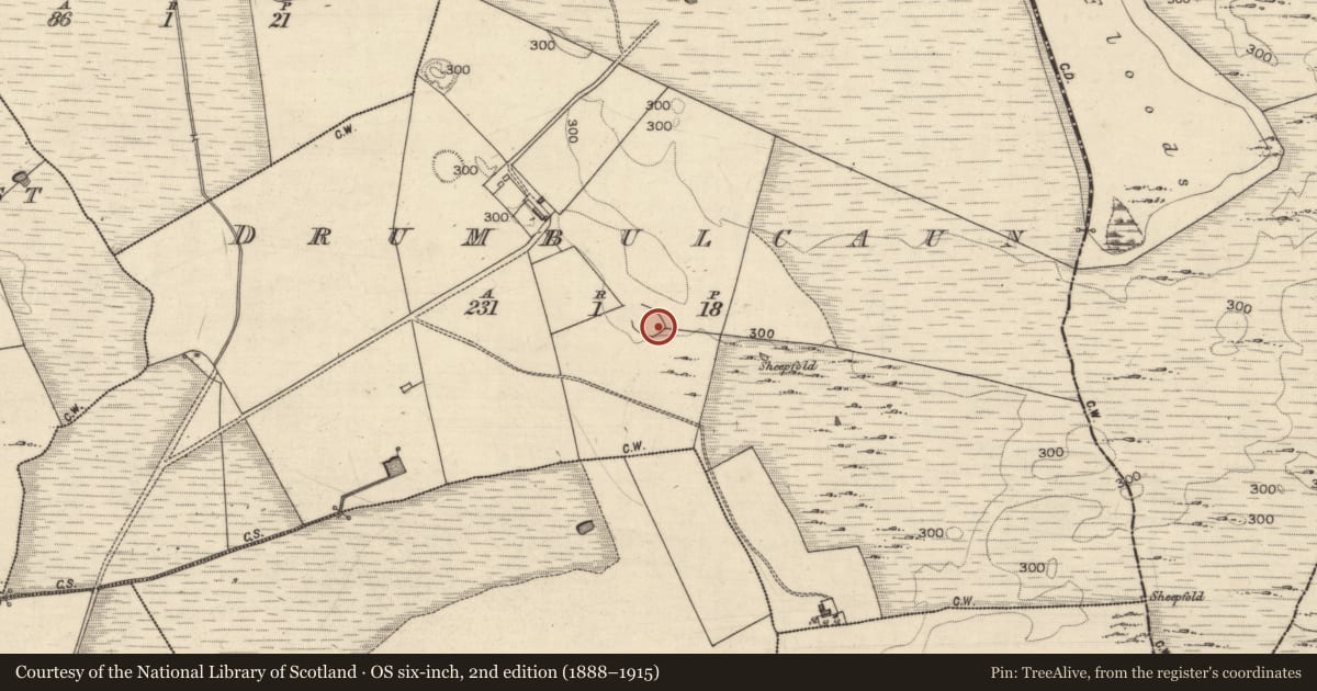 Ordnance Survey six-inch map, 2nd edition (1888–1915) covering the location of Ringfort - cashel, Drumbulcaun, County Galway, with a pin at the register's coordinates