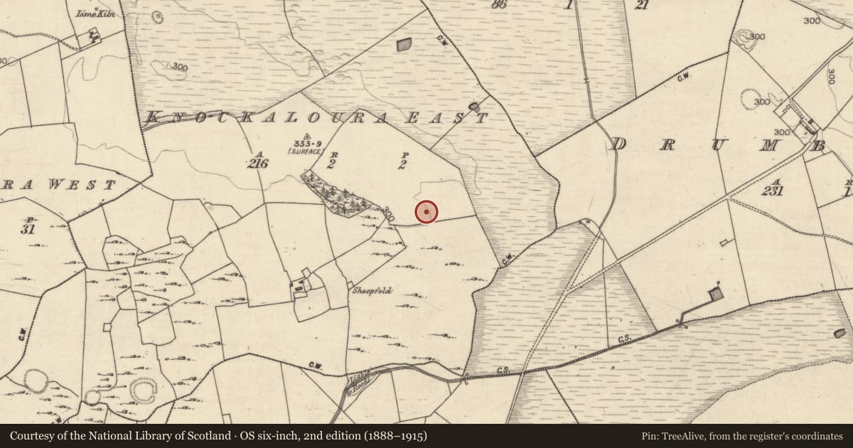 Ordnance Survey six-inch map, 2nd edition (1888–1915) covering the location of Enclosure, Knockaloura East, County Galway, with a pin at the register's coordinates