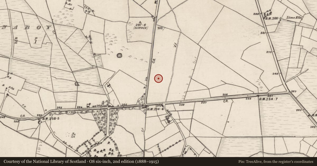Ordnance Survey six-inch map, 2nd edition (1888–1915) covering the location of Children's burial ground, Ballyedmond, County Galway, with a pin at the register's coordinates