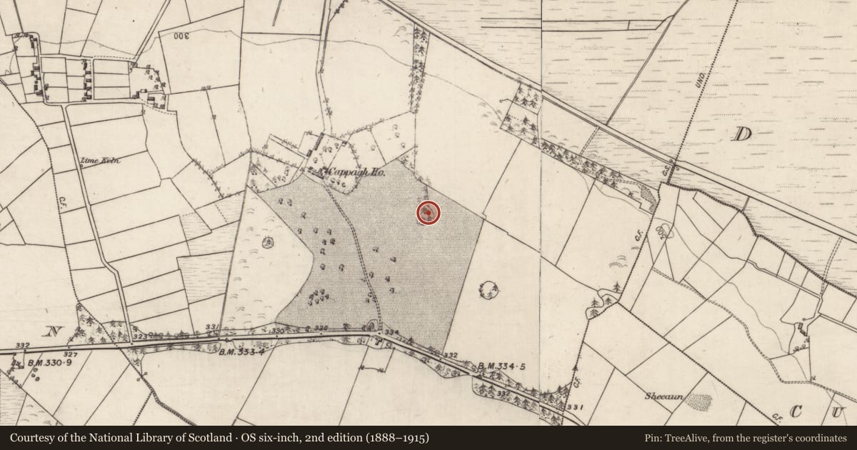 Ordnance Survey six-inch map, 2nd edition (1888–1915) covering the location of Designed landscape - tree-ring, Cappagh, County Galway, with a pin at the register's coordinates