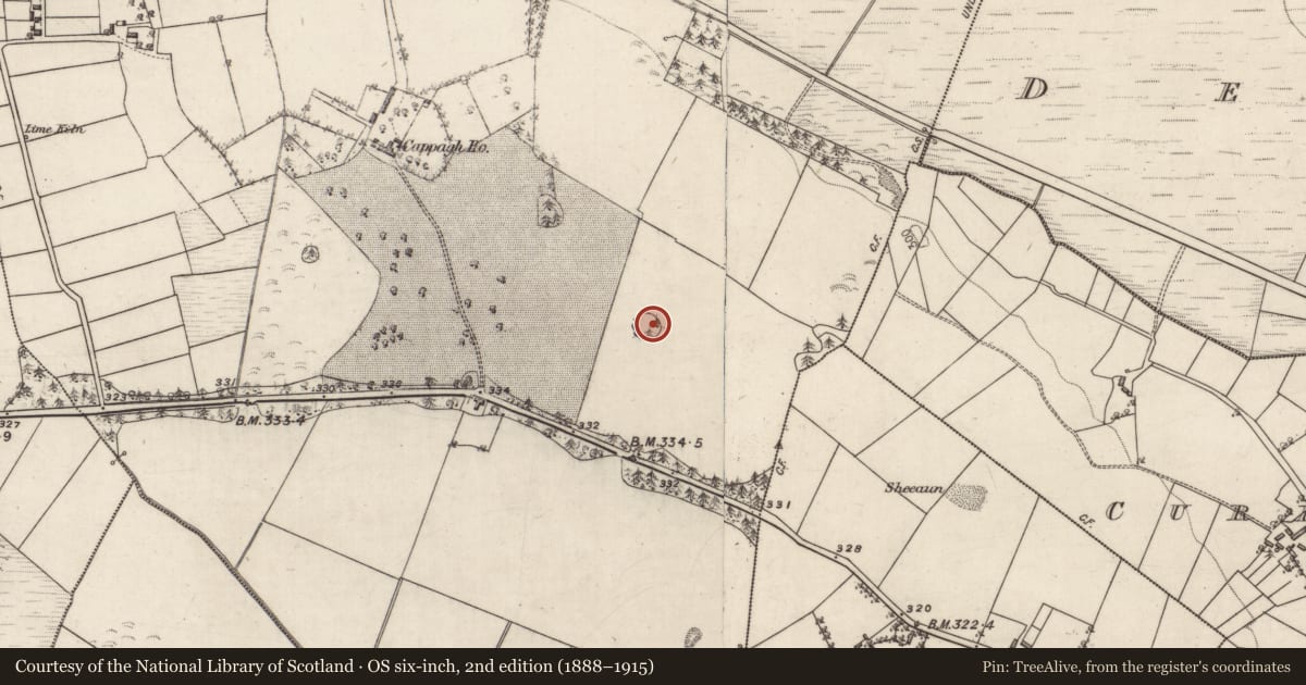 Ordnance Survey six-inch map, 2nd edition (1888–1915) covering the location of Enclosure, Cappagh, County Galway, with a pin at the register's coordinates