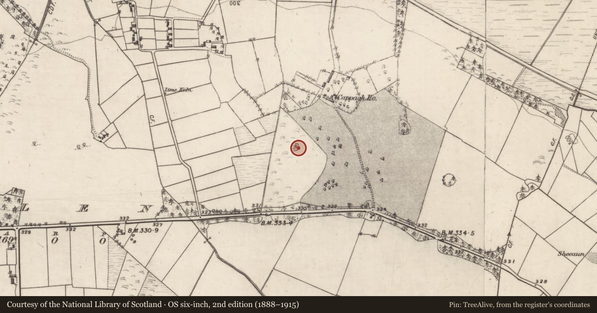 Ordnance Survey six-inch map, 2nd edition (1888–1915) covering the location of Designed landscape feature, Cappagh, County Galway, with a pin at the register's coordinates