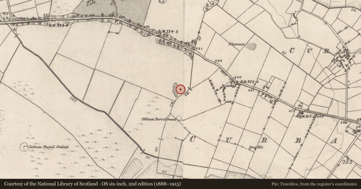 Ordnance Survey six-inch map, 2nd edition (1888–1915) covering the location of Enclosure, Cappagh, Curragh More, County Galway, with a pin at the register's coordinates