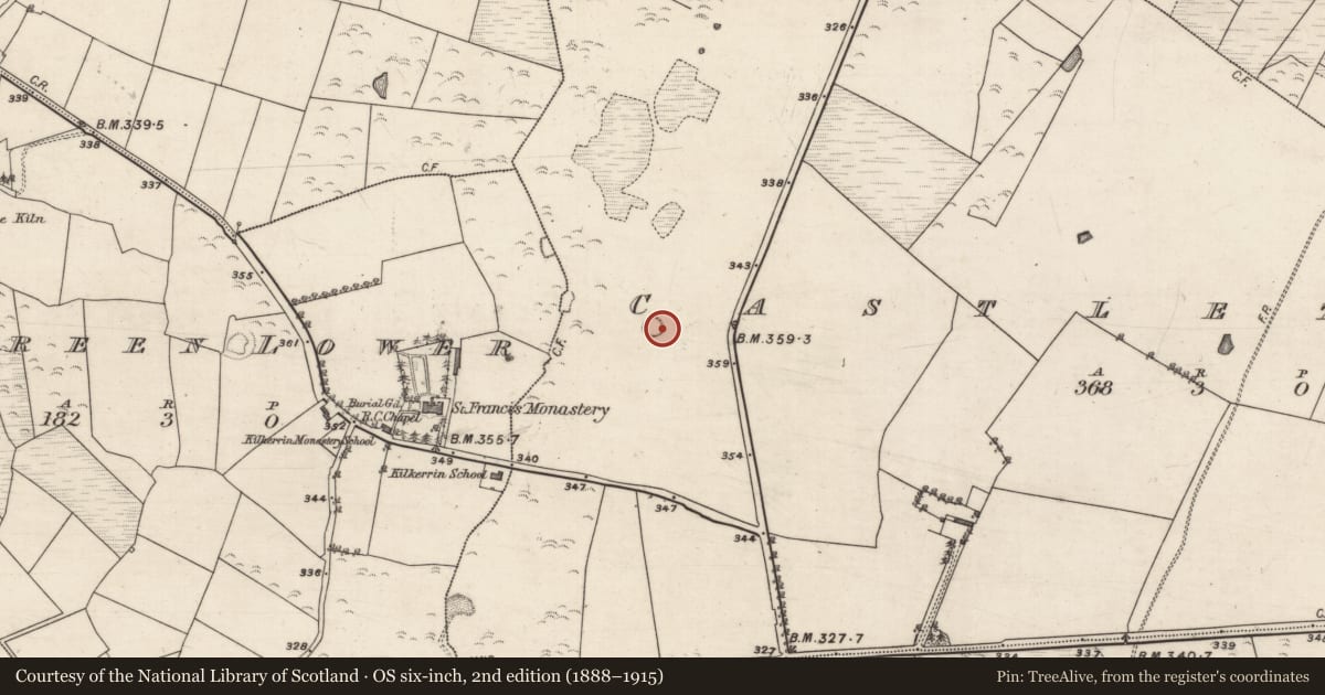 Ordnance Survey six-inch map, 2nd edition (1888–1915) covering the location of Enclosure, Castletown, County Galway, with a pin at the register's coordinates