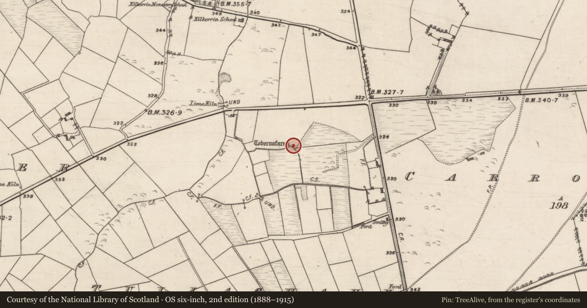 Ordnance Survey six-inch map, 2nd edition (1888–1915) covering the location of Well, Castletown, County Galway, with a pin at the register's coordinates