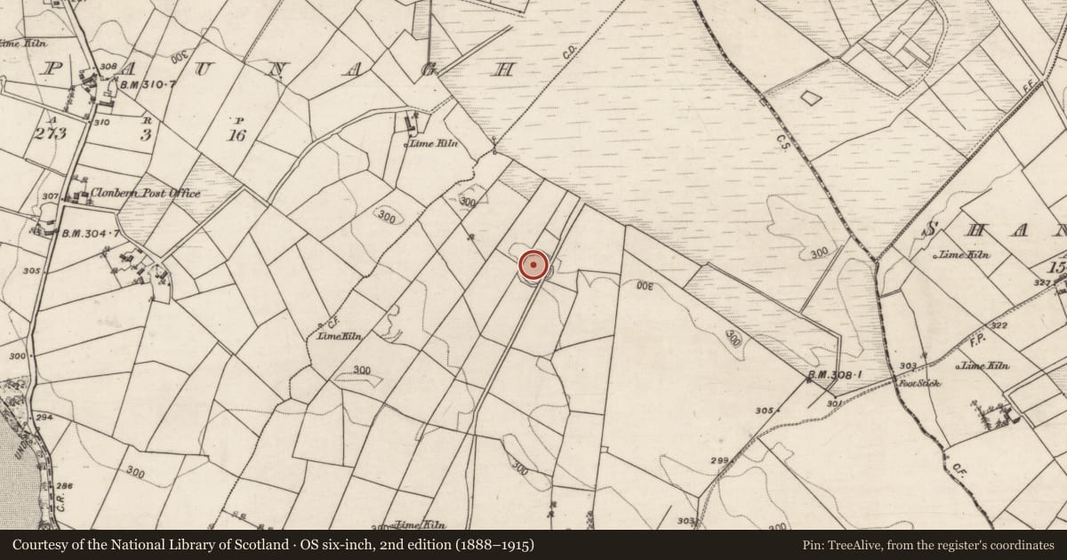 Ordnance Survey six-inch map, 2nd edition (1888–1915) covering the location of Ringfort - rath, Cogaula, County Galway, with a pin at the register's coordinates