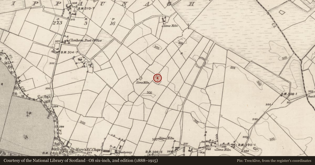 Ordnance Survey six-inch map, 2nd edition (1888–1915) covering the location of Ringfort - rath, Cogaula, County Galway, with a pin at the register's coordinates