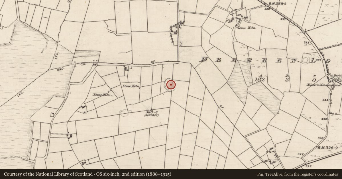 Ordnance Survey six-inch map, 2nd edition (1888–1915) covering the location of Ringfort - rath, Derreen Upper, County Galway, with a pin at the register's coordinates