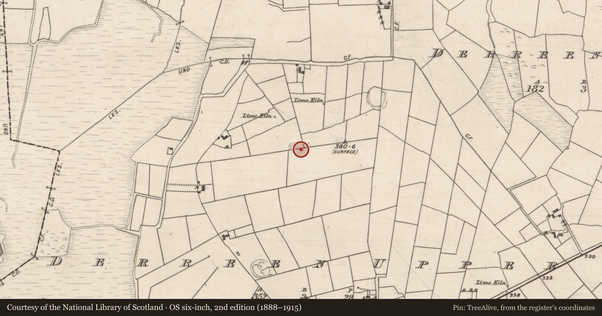 Ordnance Survey six-inch map, 2nd edition (1888–1915) covering the location of Ringfort - rath, Derreen Upper, County Galway, with a pin at the register's coordinates