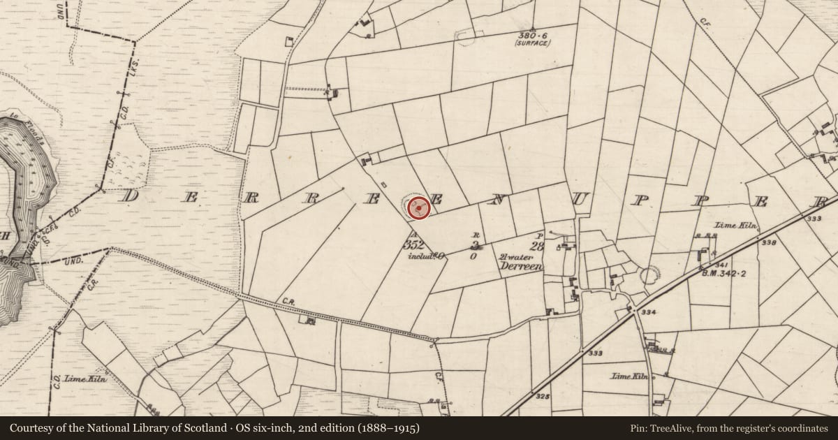 Ordnance Survey six-inch map, 2nd edition (1888–1915) covering the location of Ringfort - rath, Derreen Upper, County Galway, with a pin at the register's coordinates