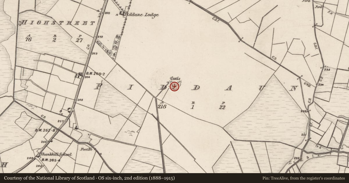 Ordnance Survey six-inch map, 2nd edition (1888–1915) covering the location of Castle - tower house, Fiddaun, County Galway, with a pin at the register's coordinates