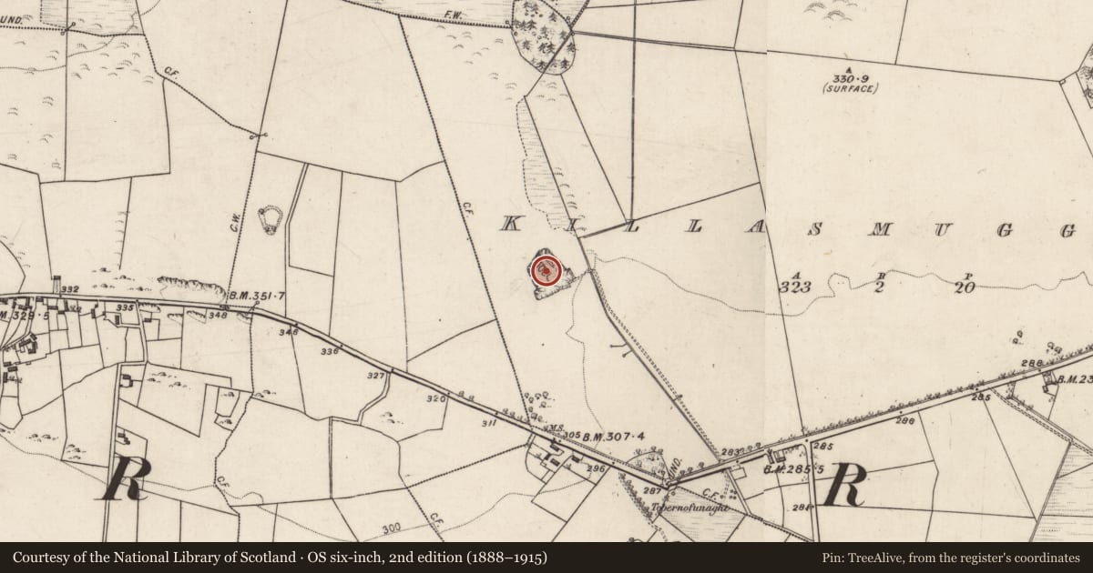 Ordnance Survey six-inch map, 2nd edition (1888–1915) covering the location of Quarry, Killasmuggaun, County Galway, with a pin at the register's coordinates