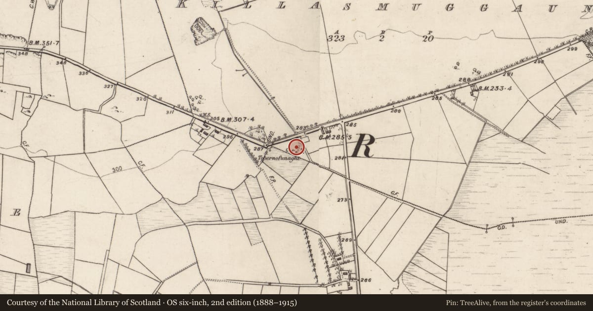 Ordnance Survey six-inch map, 2nd edition (1888–1915) covering the location of Well, Killasmuggaun, County Galway, with a pin at the register's coordinates