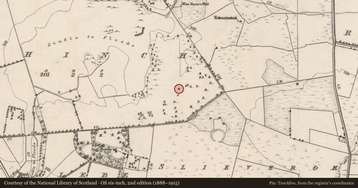 Ordnance Survey six-inch map, 2nd edition (1888–1915) covering the location of Quarry, Lehinch, County Galway, with a pin at the register's coordinates