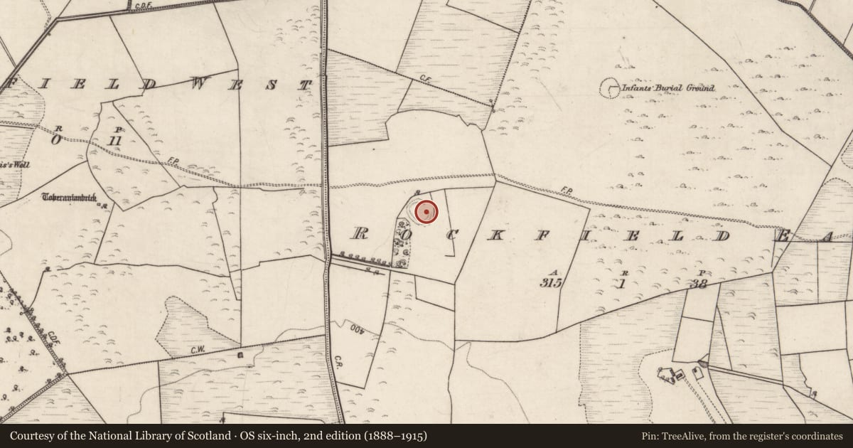 Ordnance Survey six-inch map, 2nd edition (1888–1915) covering the location of Ringfort - rath, Rockfield East, County Galway, with a pin at the register's coordinates