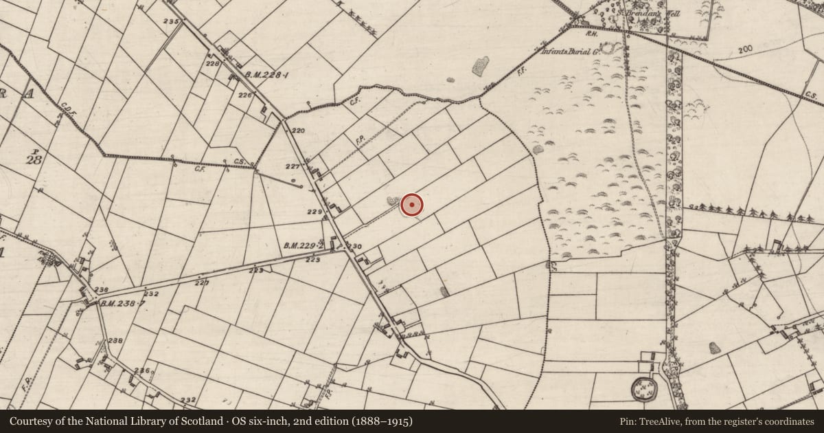 Ordnance Survey six-inch map, 2nd edition (1888–1915) covering the location of Ringfort - rath, Ballynacorra (Ffrench), County Galway, with a pin at the register's coordinates