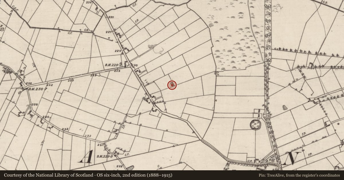 Ordnance Survey six-inch map, 2nd edition (1888–1915) covering the location of Quarry, Ballynacorra (Ffrench), County Galway, with a pin at the register's coordinates
