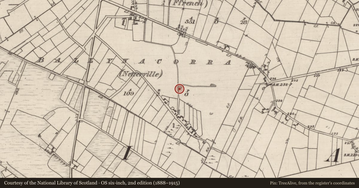 Ordnance Survey six-inch map, 2nd edition (1888–1915) covering the location of Quarry, Ballynacorra (Netterville), County Galway, with a pin at the register's coordinates