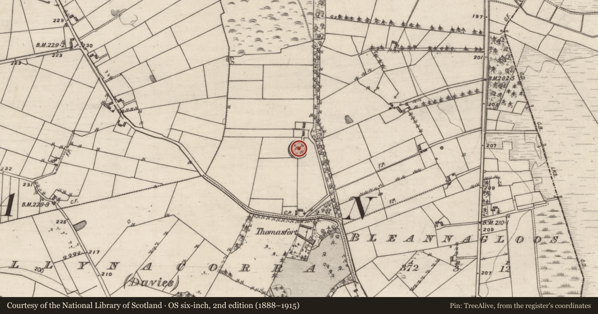 Ordnance Survey six-inch map, 2nd edition (1888–1915) covering the location of Designed landscape - tree-ring, Bleannagloos, County Galway, with a pin at the register's coordinates