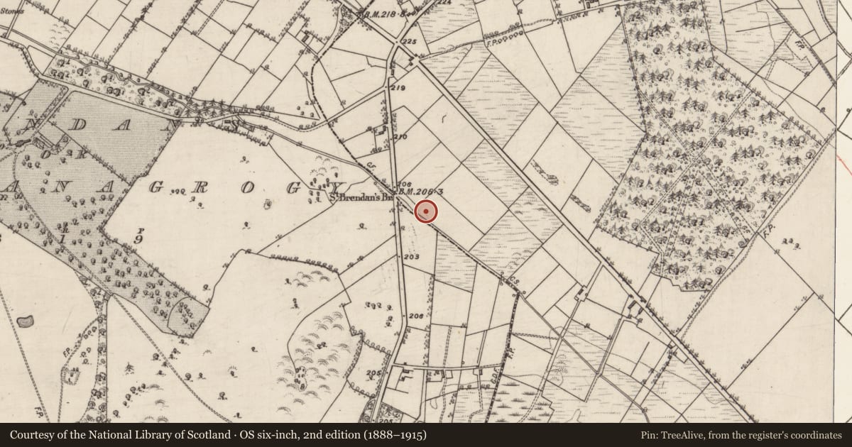 Ordnance Survey six-inch map, 2nd edition (1888–1915) covering the location of Enclosure, Cloonlyon, County Galway, with a pin at the register's coordinates