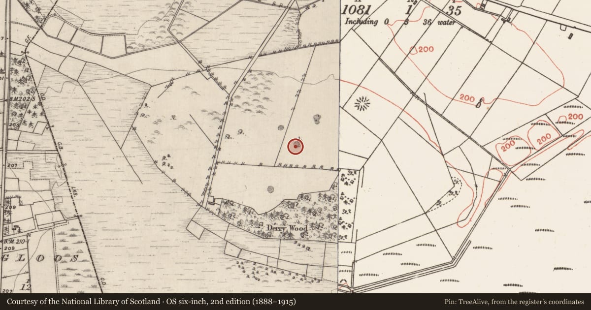 Ordnance Survey six-inch map, 2nd edition (1888–1915) covering the location of Quarry, Cloonlyon, County Galway, with a pin at the register's coordinates