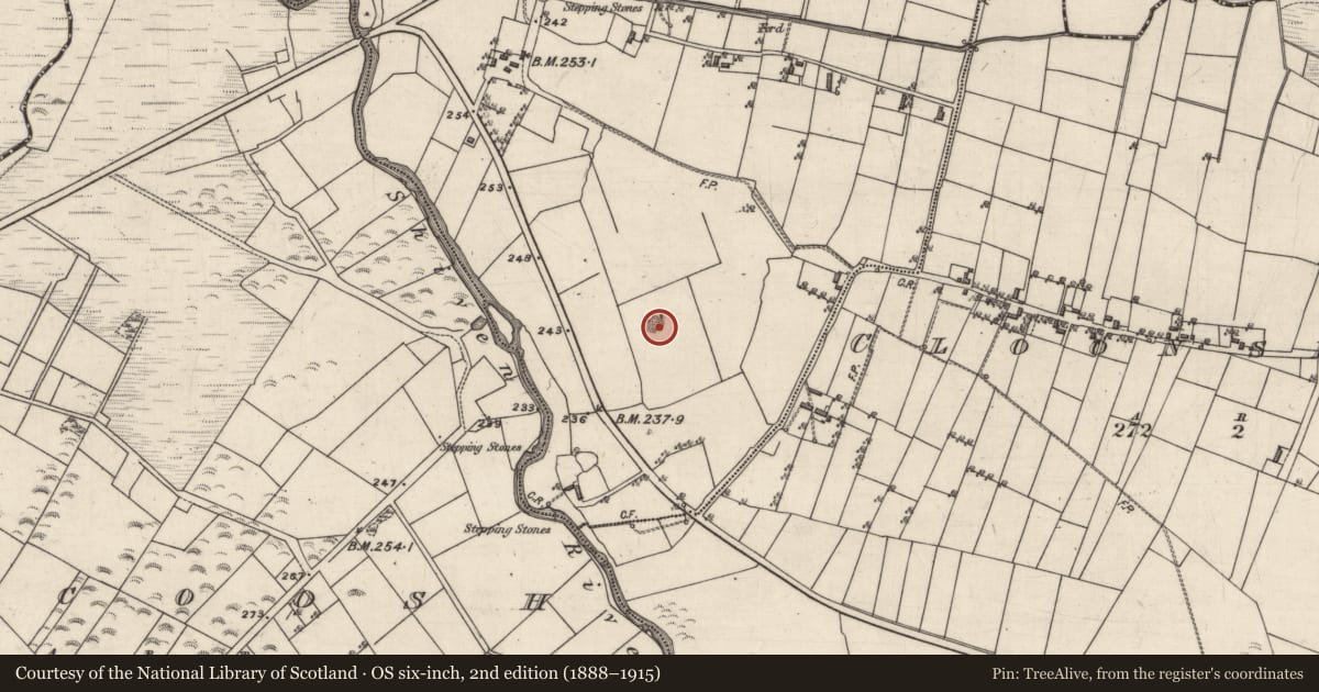 Ordnance Survey six-inch map, 2nd edition (1888–1915) covering the location of Quarry, Cloonshivna (Kelly), County Galway, with a pin at the register's coordinates