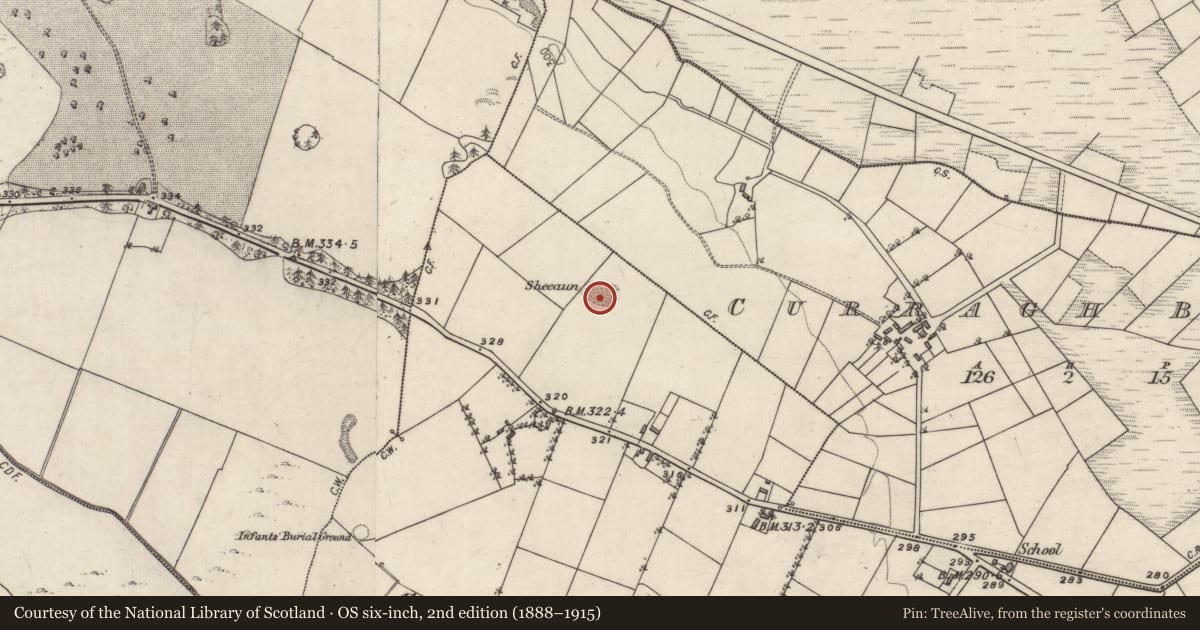 Ordnance Survey six-inch map, 2nd edition (1888–1915) covering the location of Quarry, Curragh More, County Galway, with a pin at the register's coordinates