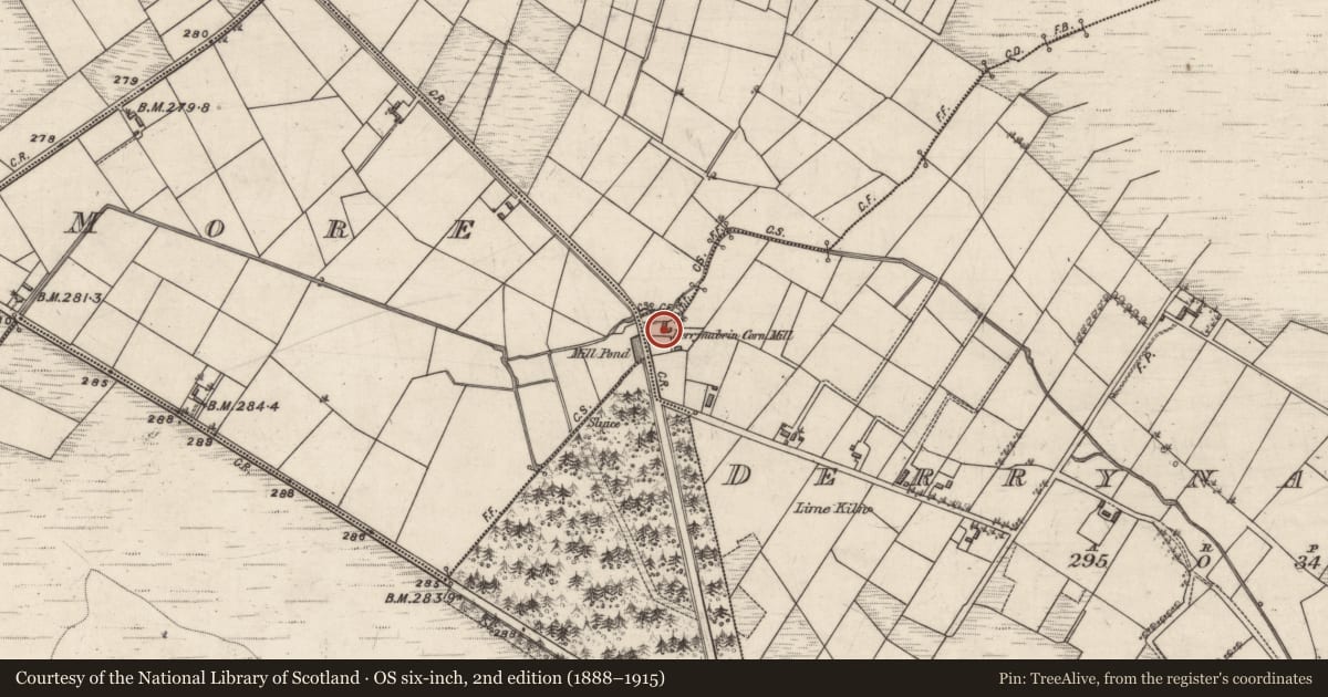 Ordnance Survey six-inch map, 2nd edition (1888–1915) covering the location of Mill - corn, Derrynabrin, County Galway, with a pin at the register's coordinates
