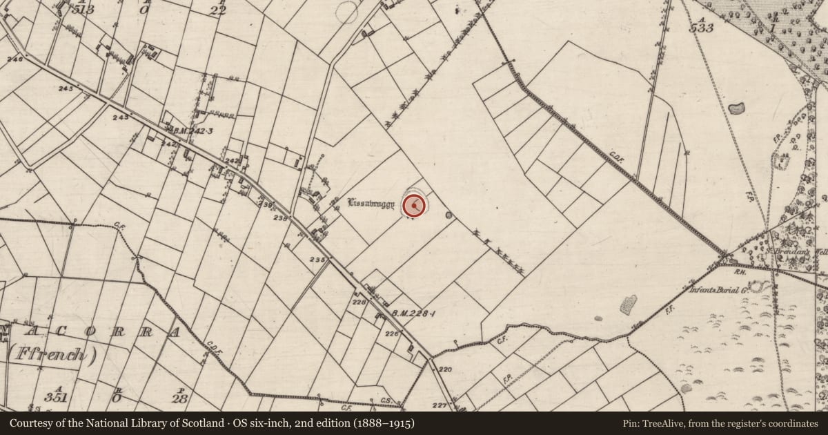Ordnance Survey six-inch map, 2nd edition (1888–1915) covering the location of Ringfort - rath, Lissavruggy, County Galway, with a pin at the register's coordinates