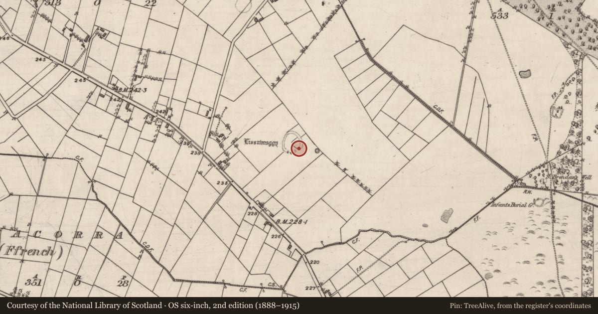 Ordnance Survey six-inch map, 2nd edition (1888–1915) covering the location of Enclosure, Lissavruggy, County Galway, with a pin at the register's coordinates