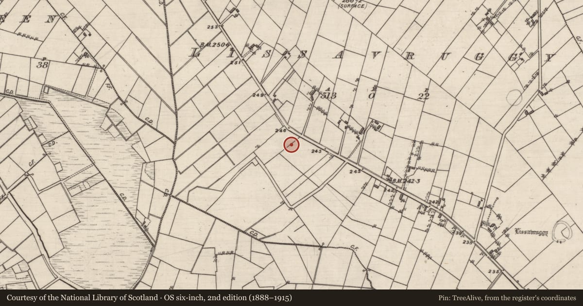 Ordnance Survey six-inch map, 2nd edition (1888–1915) covering the location of Brickworks, Lissavruggy, County Galway, with a pin at the register's coordinates