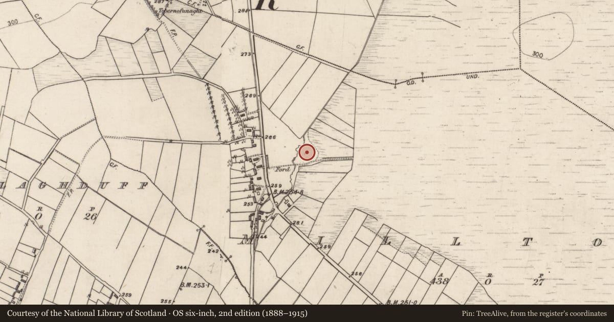 Ordnance Survey six-inch map, 2nd edition (1888–1915) covering the location of Dam, Milltown, County Galway, with a pin at the register's coordinates