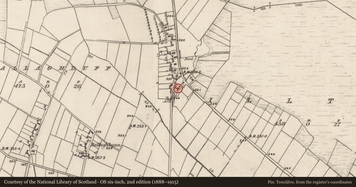 Ordnance Survey six-inch map, 2nd edition (1888–1915) covering the location of Mill - corn, Milltown, County Galway, with a pin at the register's coordinates
