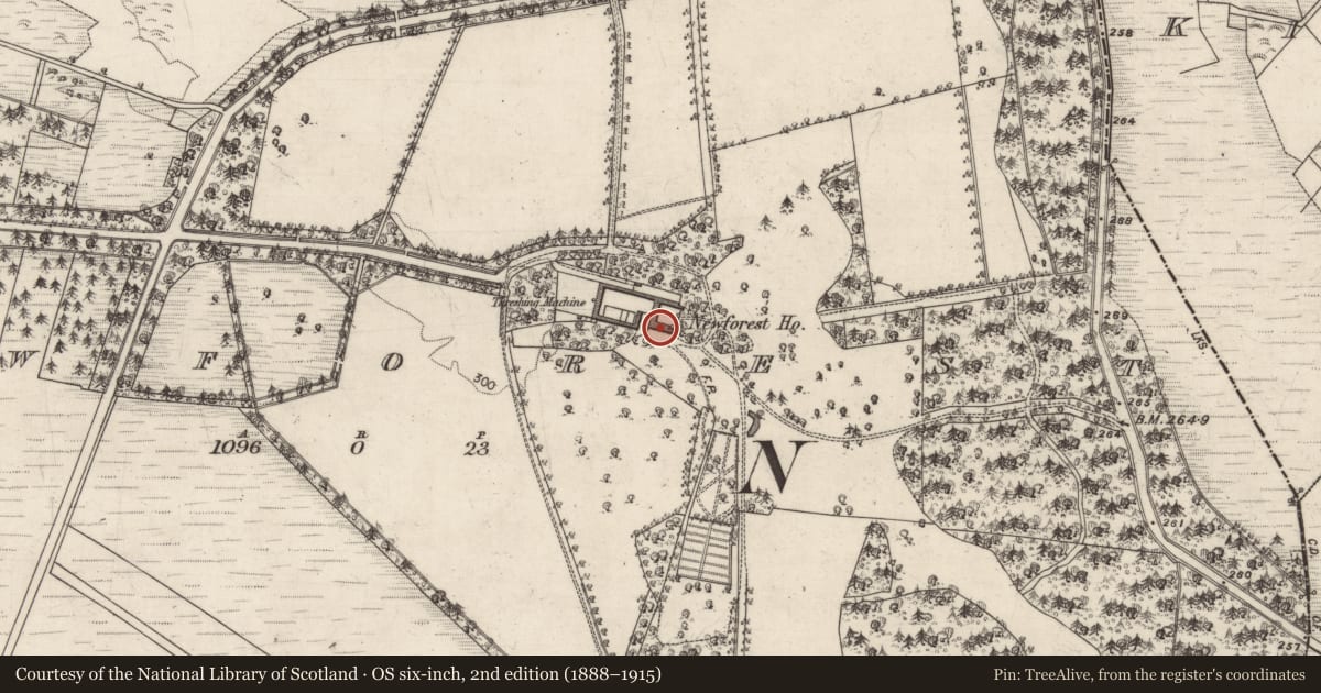 Ordnance Survey six-inch map, 2nd edition (1888–1915) covering the location of Country house, Newforest, County Galway, with a pin at the register's coordinates