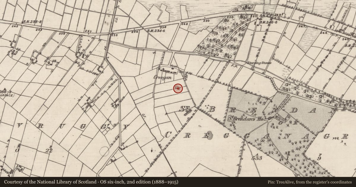 Ordnance Survey six-inch map, 2nd edition (1888–1915) covering the location of Quarry, St Brendan'S Or Cregganagrogy, County Galway, with a pin at the register's coordinates