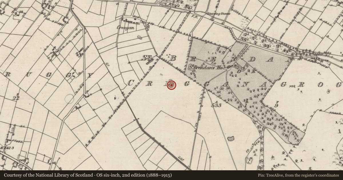 Ordnance Survey six-inch map, 2nd edition (1888–1915) covering the location of Quarry, St Brendan'S Or Cregganagrogy, County Galway, with a pin at the register's coordinates