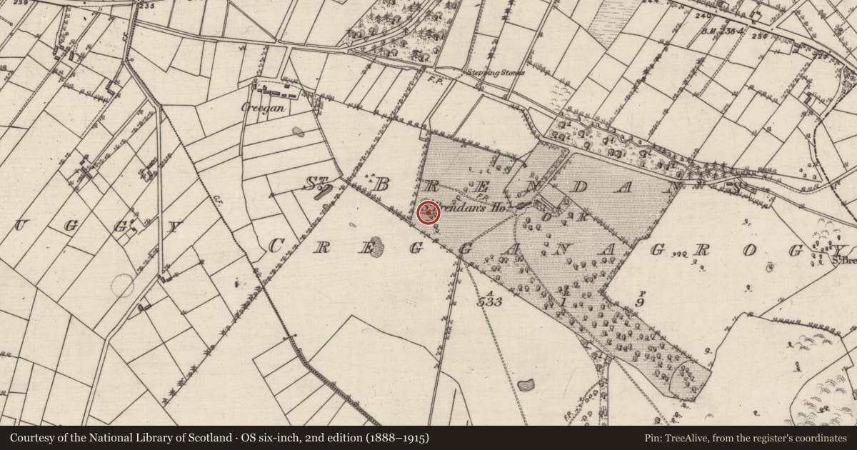 Ordnance Survey six-inch map, 2nd edition (1888–1915) covering the location of Quarry, St Brendan'S Or Cregganagrogy, County Galway, with a pin at the register's coordinates