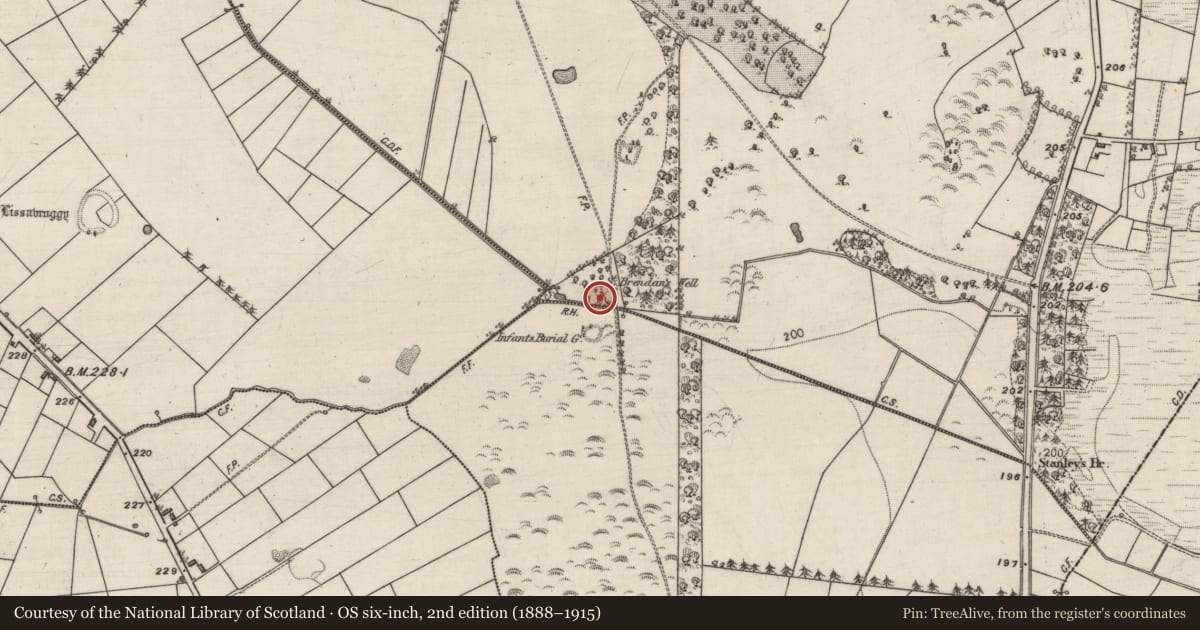 Ordnance Survey six-inch map, 2nd edition (1888–1915) covering the location of Headstone, St Brendan'S Or Cregganagrogy, County Galway, with a pin at the register's coordinates
