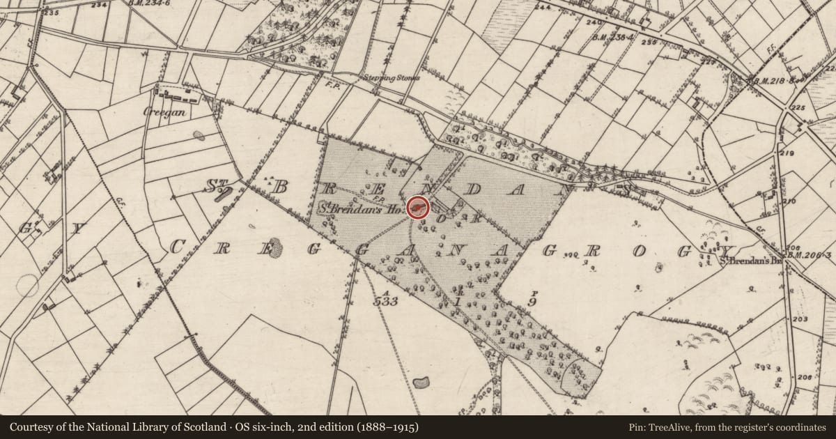 Ordnance Survey six-inch map, 2nd edition (1888–1915) covering the location of Country house, St Brendan'S Or Cregganagrogy, County Galway, with a pin at the register's coordinates