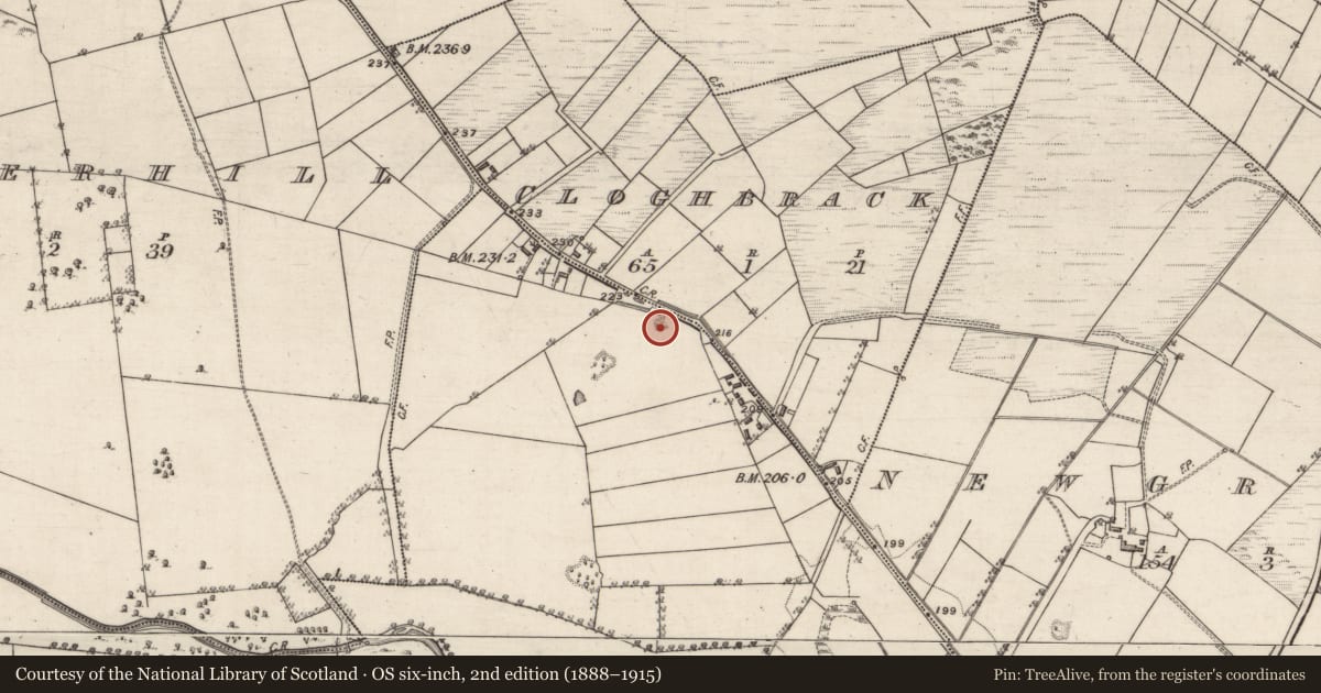 Ordnance Survey six-inch map, 2nd edition (1888–1915) covering the location of Quarry, Woodbrook, County Galway, with a pin at the register's coordinates