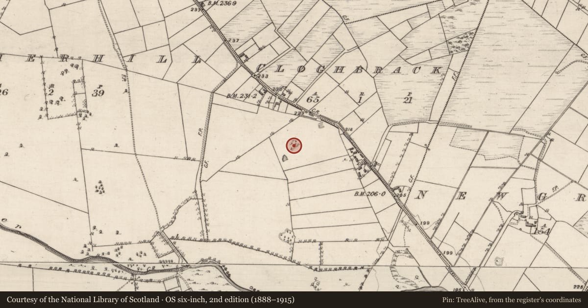 Ordnance Survey six-inch map, 2nd edition (1888–1915) covering the location of Quarry, Woodbrook, County Galway, with a pin at the register's coordinates