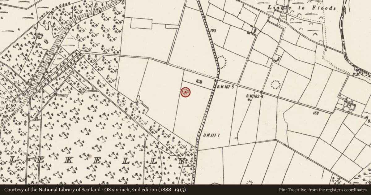 Ordnance Survey six-inch map, 2nd edition (1888–1915) covering the location of Quarry, Aghrane Or Castlekelly, County Galway, with a pin at the register's coordinates