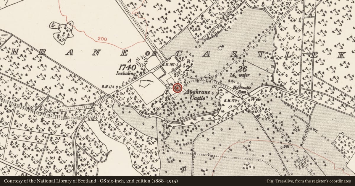 Ordnance Survey six-inch map, 2nd edition (1888–1915) covering the location of Castle - tower house, Aghrane Or Castlekelly, County Galway, with a pin at the register's coordinates
