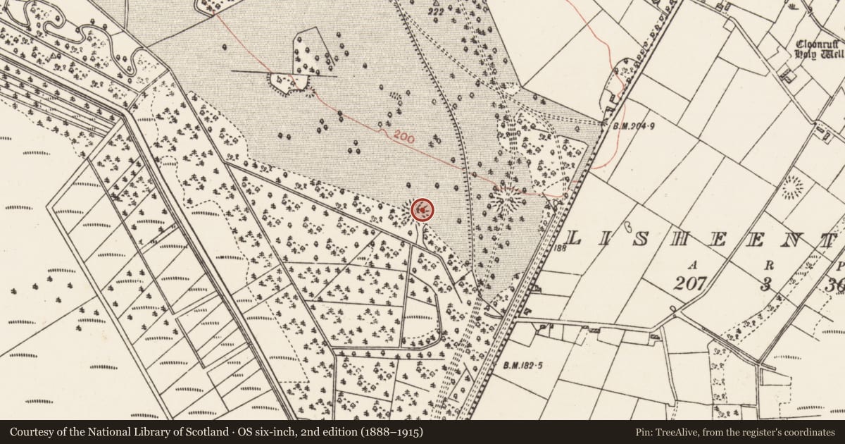 Ordnance Survey six-inch map, 2nd edition (1888–1915) covering the location of Barrow - ring-barrow, Aghrane Or Castlekelly, County Galway, with a pin at the register's coordinates