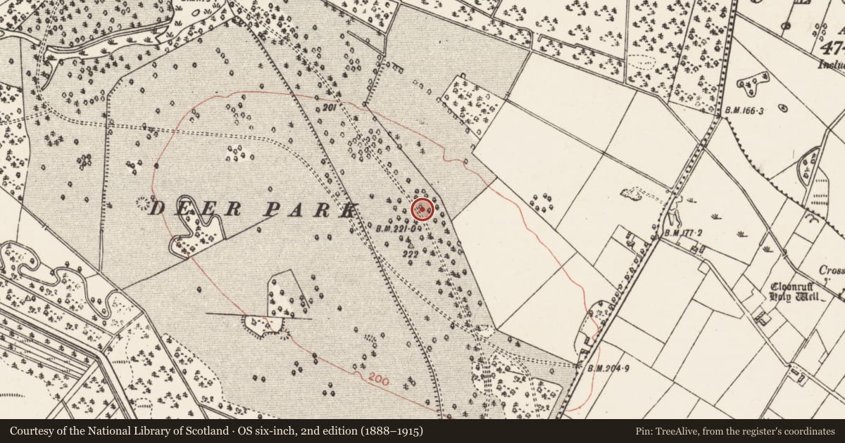 Ordnance Survey six-inch map, 2nd edition (1888–1915) covering the location of Designed landscape - tree-ring, Aghrane Or Castlekelly, County Galway, with a pin at the register's coordinates