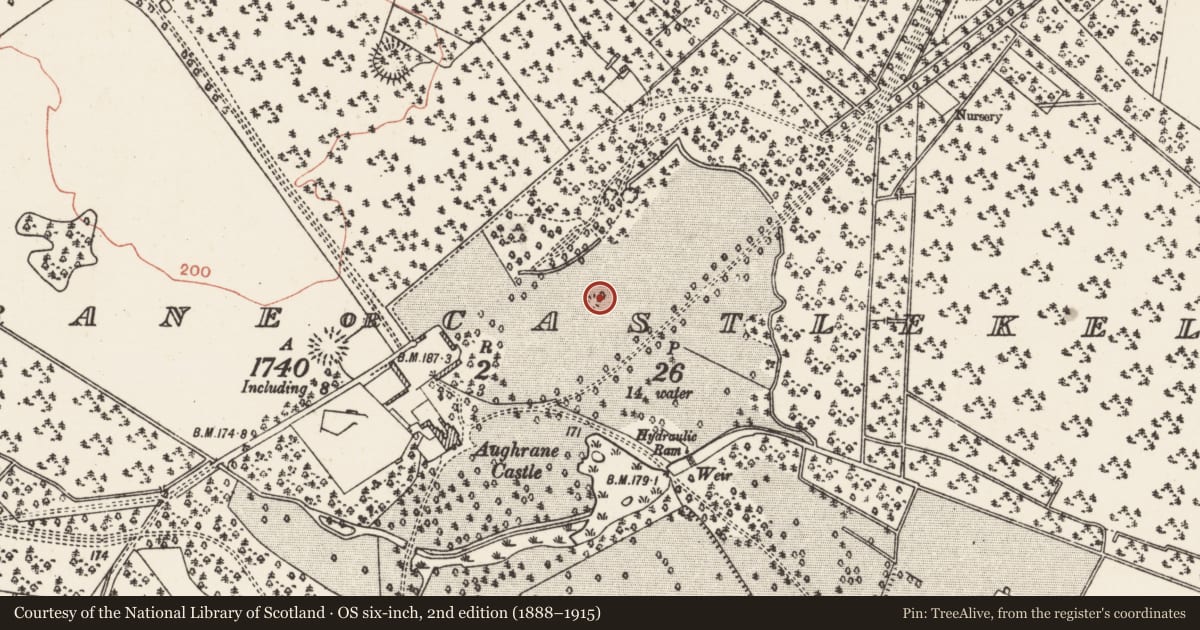 Ordnance Survey six-inch map, 2nd edition (1888–1915) covering the location of Fish-pond, Aghrane Or Castlekelly, County Galway, with a pin at the register's coordinates